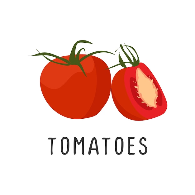 Tomates Vector ilustración diseño plano dibujos animados de tomate jugoso producto natural para la salud y vitaminas