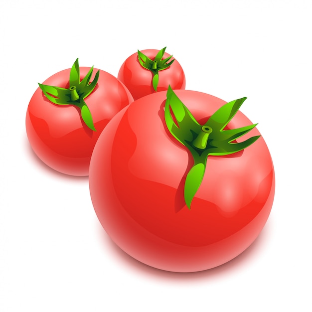 los tomates