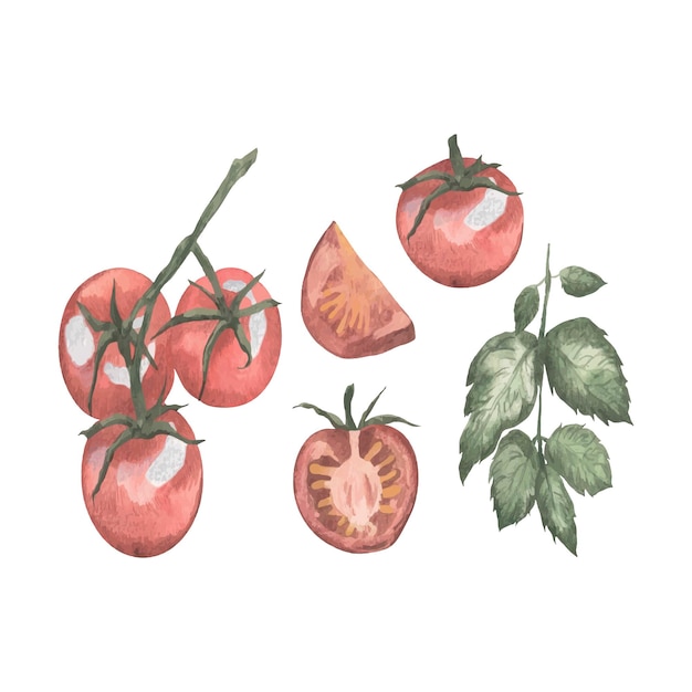 Tomates