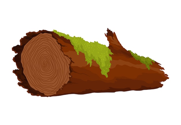 Tomo de tronco en musgo Líquen de árbol de dibujos animados en la jungla pantanosa Roble roto en el bosque húmedo tropical Elemento de diseño vectorial aislado en fondo blanco