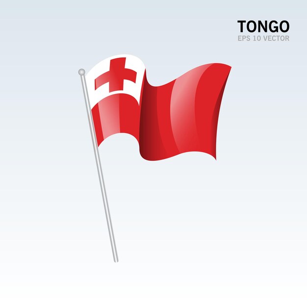 Tonga ondeando la bandera aislado en gris