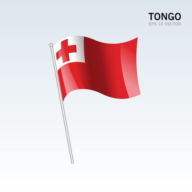 Tonga ondeando la bandera aislado en gris