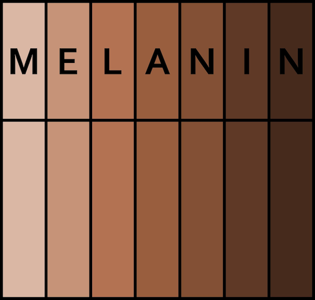 Tonos de piel humana Pigmento de piel de melanina Vidas negras importan