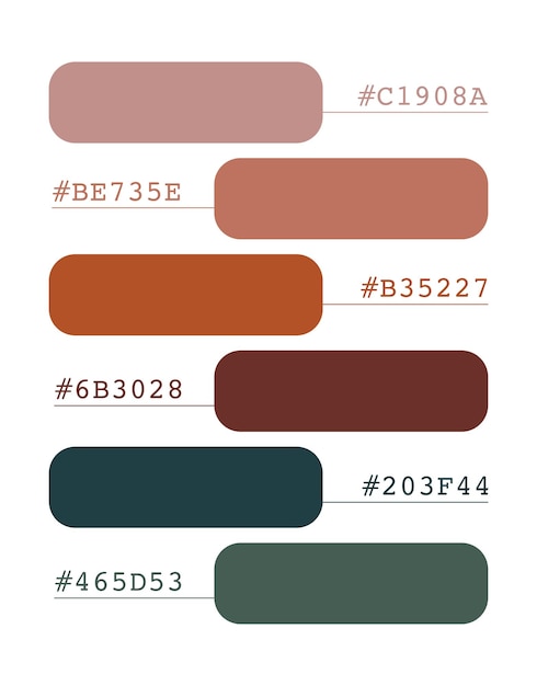 Los tonos de tierra paleta de colores pastel boho colores catálogo de colores que coinciden RGB CMYK colores armoniosos colores paleta de muestras de diseño y edición idea con código hexadecimal