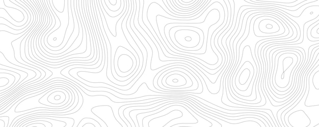 Topografía abstracta líneas de contorno mapa de fondo Líneas de contorno ilustración mapa topográfico