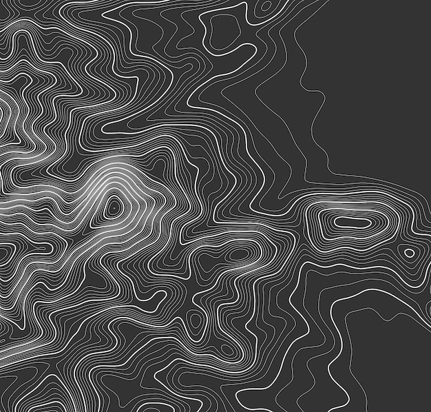 Topografía vectorial de contornos grises Ilustración vectorial de topografía geográfica de montaña Textura de patrón topográfico Mapa en terreno vectorial de elevación líneas de altura de contorno gráfico