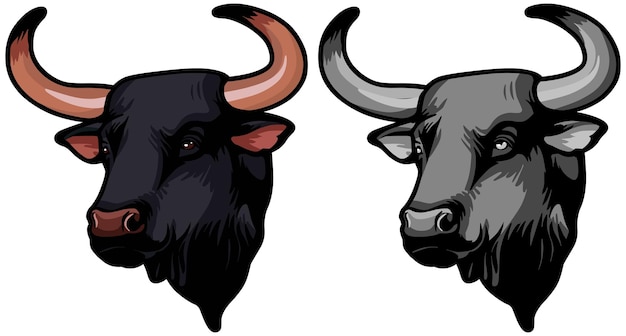 toro, cara, ilustración, salvaje, cara, vector