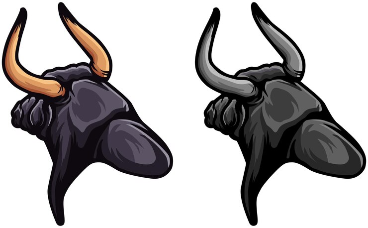 Vector toro, cara, ilustración, salvaje, cara, vector
