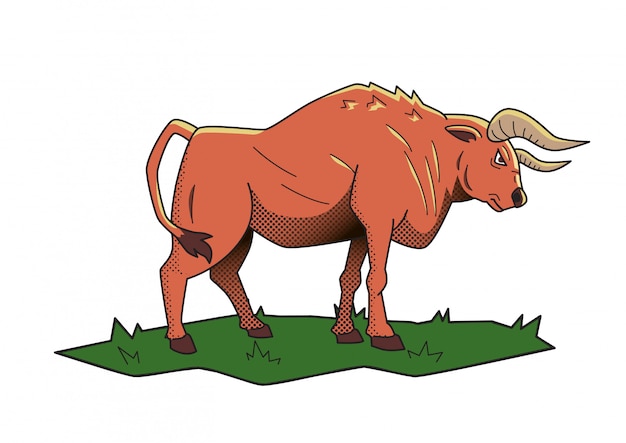 Toro enojado. Búfalo sobre la hierba verde.