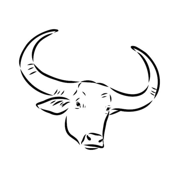 Toro en iconos de estilo doodle boceto hecho a mano vector trazo editable