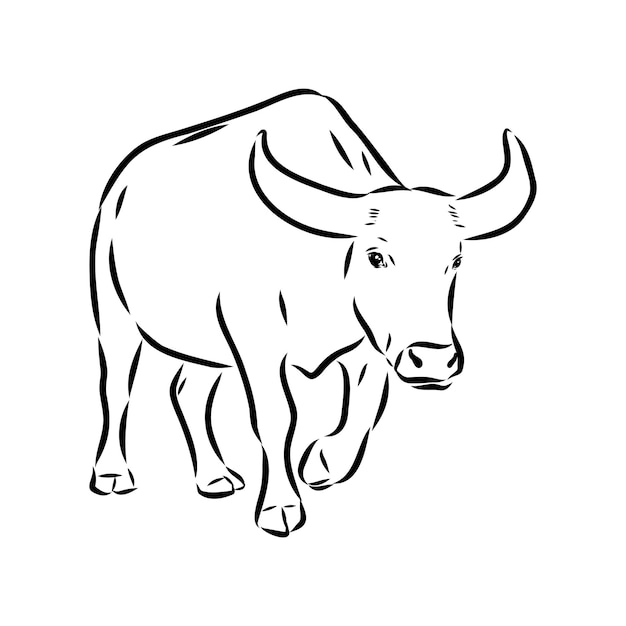 Toro en iconos de estilo doodle boceto hecho a mano vector trazo editable