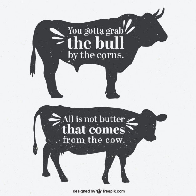 Vector toro y vaca siluetas con una cotización