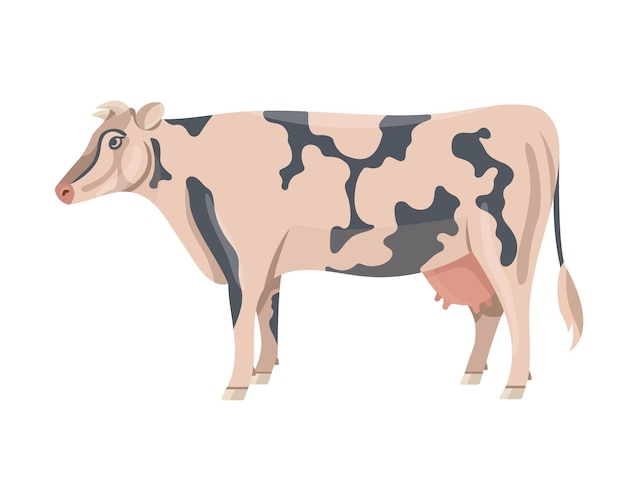 Vector toros, y, vacas, vector, toro, silueta, aislado