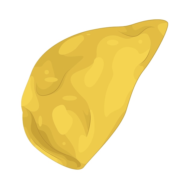 tortilla