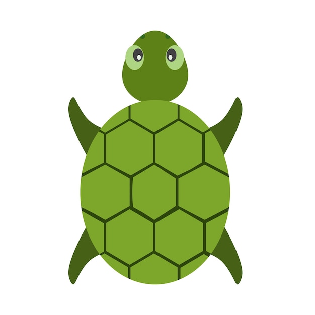 Vector tortuga animal vector ilustración icono imagen