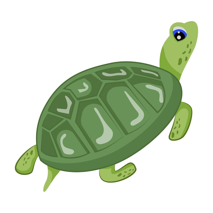Vector una tortuga con una cara triste está dibujada en la parte delantera