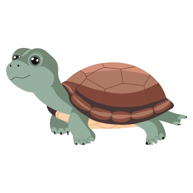 Tortuga de dibujos animados lindo aislado sobre fondo blanco