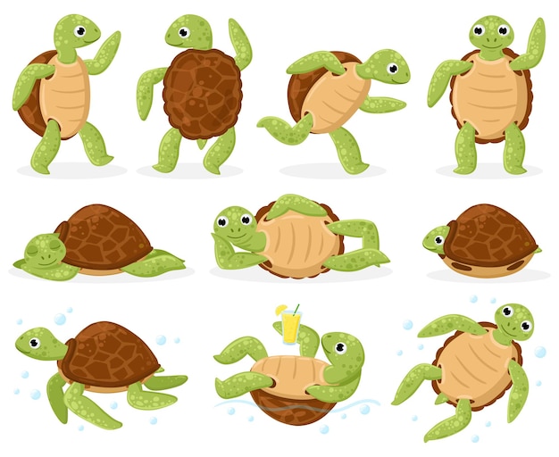 Tortuga de dibujos animados. Tortuga de mar linda nadando, bailando y durmiendo, conjunto de ilustración de vector de dibujos animados de pequeños reptiles acuáticos. Mascotas de concha