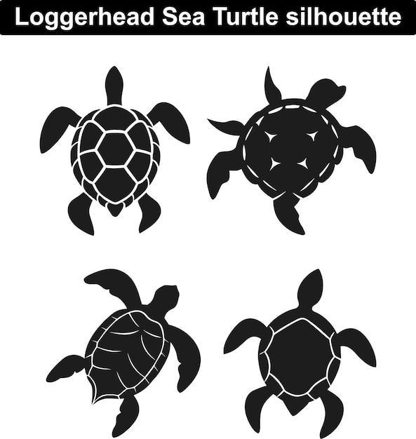Tortuga de mar de cabeza corta