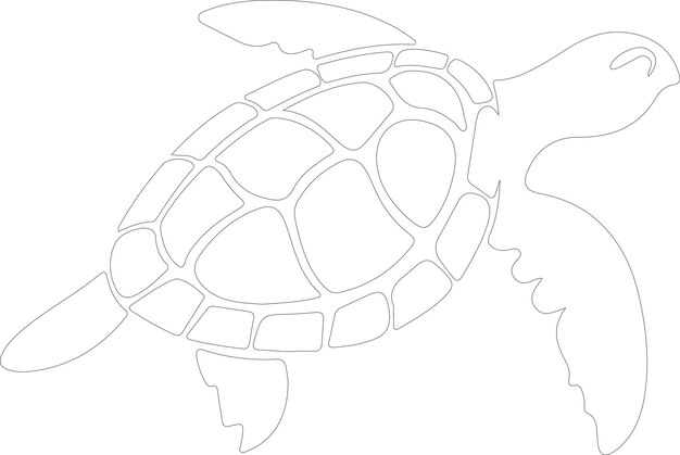 una tortuga marina con un dibujo de línea de una tortuguera
