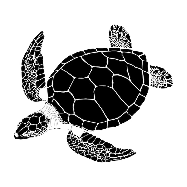 tortuga marina gráficailustración vectorial de tortuga marinavector de diseño de tortuga sobre un fondo blanco