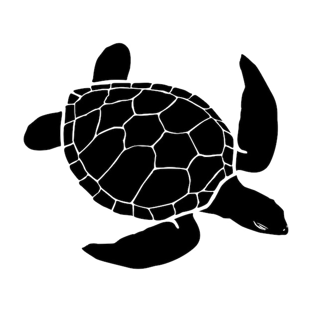 tortuga marina gráficailustración vectorial de tortuga marinavector de diseño de tortuga sobre un fondo blanco