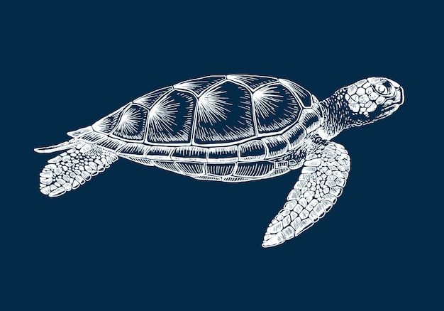 Tortuga marina ilustración dibujada a mano convertida en vector vector con animal bajo el agua