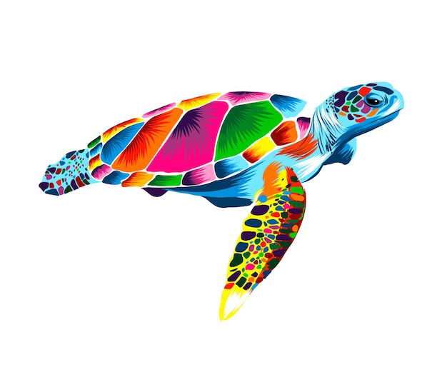 Tortuga marina de pinturas multicolores Salpicadura de acuarela dibujo coloreado realista