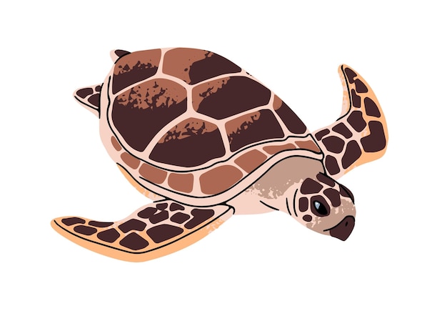 Tortuga marina verde o cabeza de león con concha ornamentada Anfíbio lindo del océano Reptilio de agua tropical Reptilio submarino Reptiliano submarino Fauna de vector aislado plano en fondo blanco
