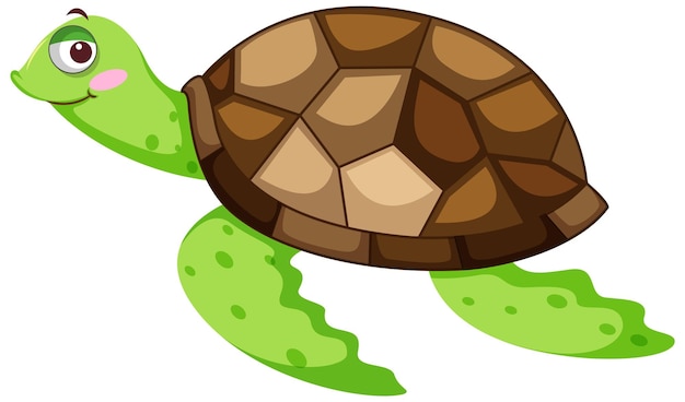 Vector una tortuga en personaje de dibujos animados