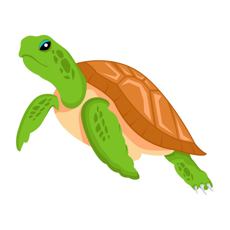 Vector una tortuga que está pintada con una tortuga en ella