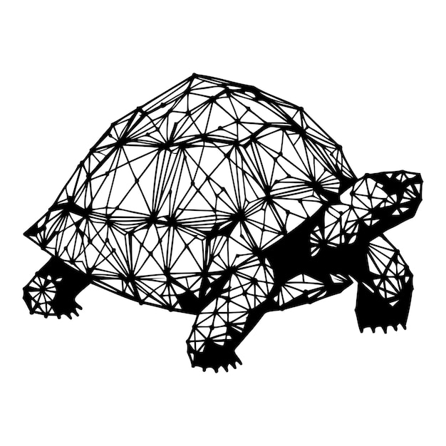 Vector tortuga triangular_a