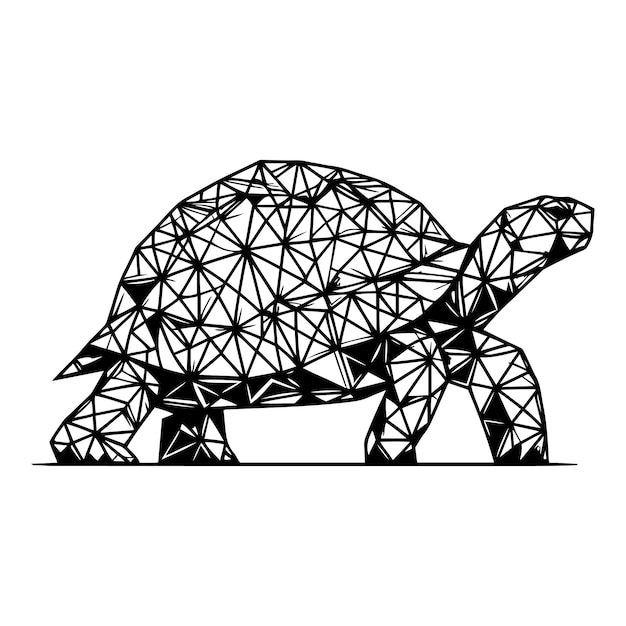 Tortuga triangular_C