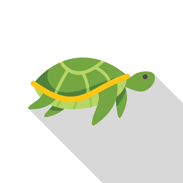Tortuga verde caminando con una larga sombra