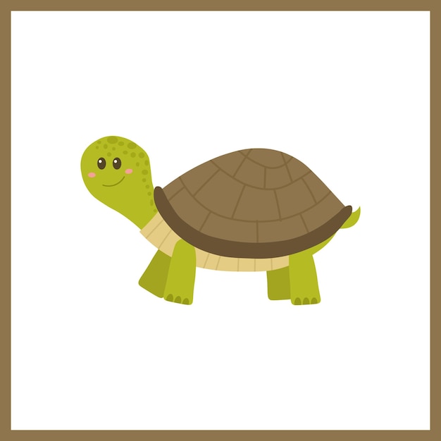 Tortuga