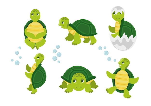 Tortugas de dibujos animados animales divertidos felices en varias poses de acción