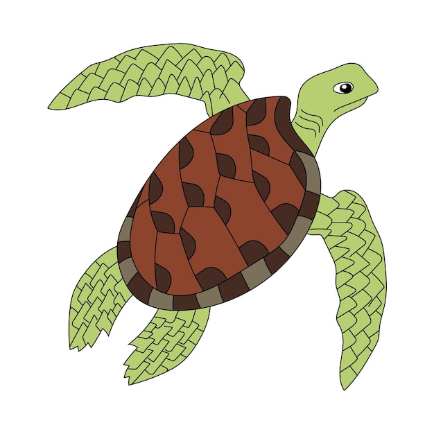 Vector tortugas marinas clipart animales acuáticos y animales marinos clipart