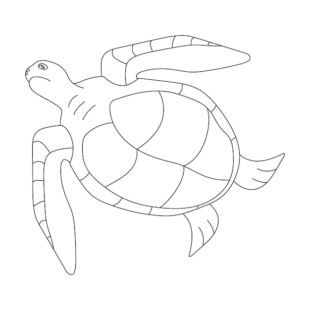 Tortugas marinas Clipart Animales acuáticos y animales marinos Clipart