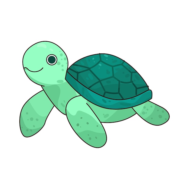 Tortugas Marinas