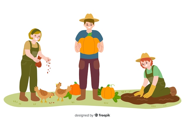 Trabajadores agrícolas alimentando a los pollos