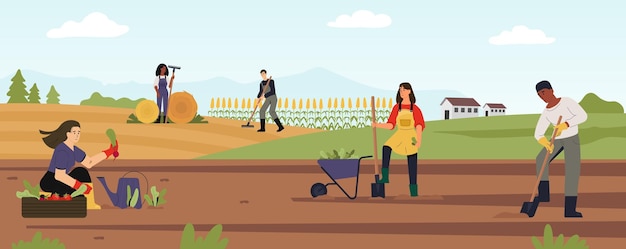 Los trabajadores agrícolas trabajan en el paisaje agrícola recolectan la cosecha vector del agricultor del paisaje agrícola en la ilustración agrícola del trabajador de campo