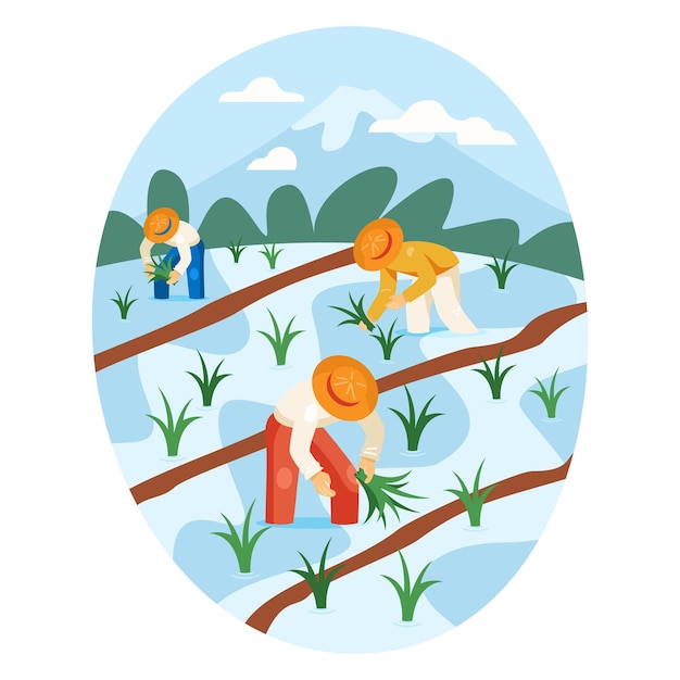 Trabajadores uniformados cosechando espigas de plantaciones de arroz con agua