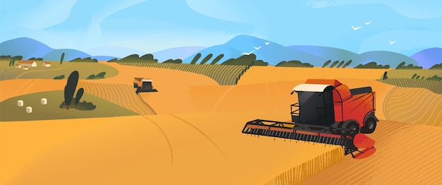 Trabajo de maquinaria de cosecha en el campo de la granja Cosecha temporada de heno en tierras de cultivo tierras de agricultura Combinar recolectar grano cosecha trigo Vista panorámica del paisaje agrícola Ilustración vectorial plana