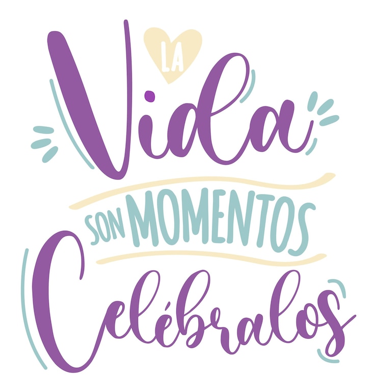 Vector traducción del español la vida es un momento letras caligrafía diseño volante