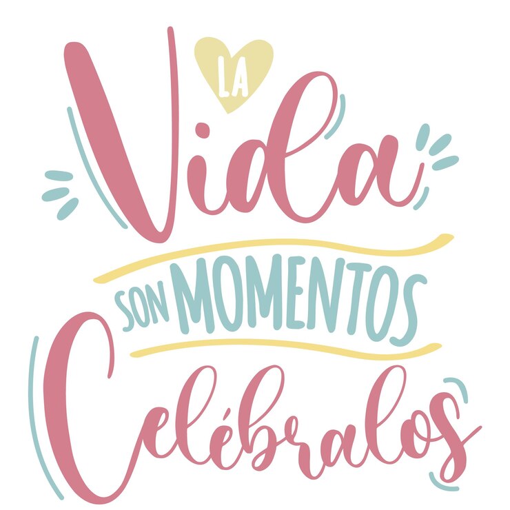 Vector traducción del español la vida es un momento letras caligrafía diseño volante