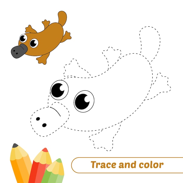 Traza y color para niños ornitorrinco vector