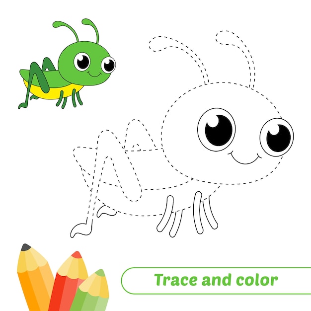 Traza y color para niños saltamontes vector