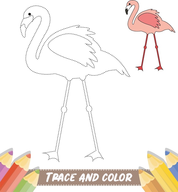 Traza y color para niños