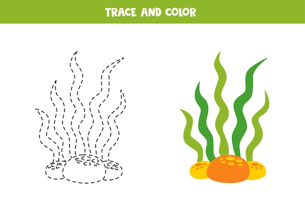 Traza y colorea la hoja de trabajo de algas marinas de dibujos animados para niños