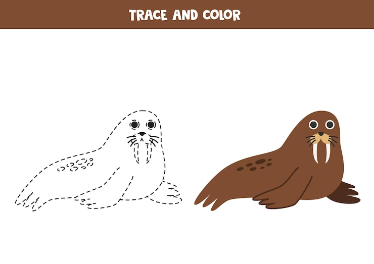 Vector traza y colorea la hoja de trabajo de dibujos animados lindo león marino para niños